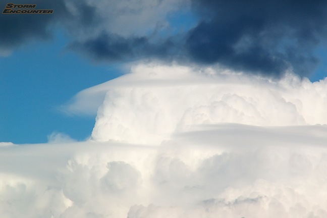 Pileus