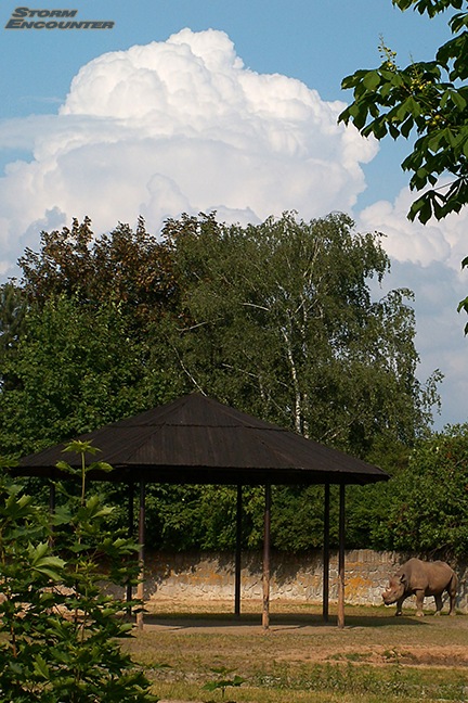 Bouka nad Zoo