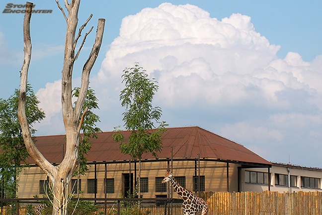 Bouka nad Zoo