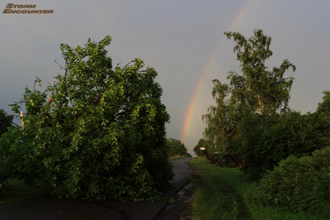 Duha a vyvrcen strom