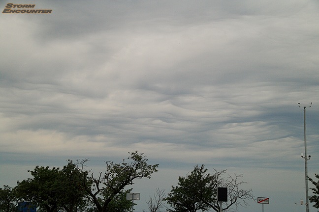 Asperatus