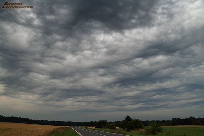 Asperatus