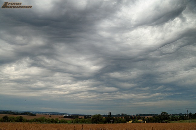 Asperatus