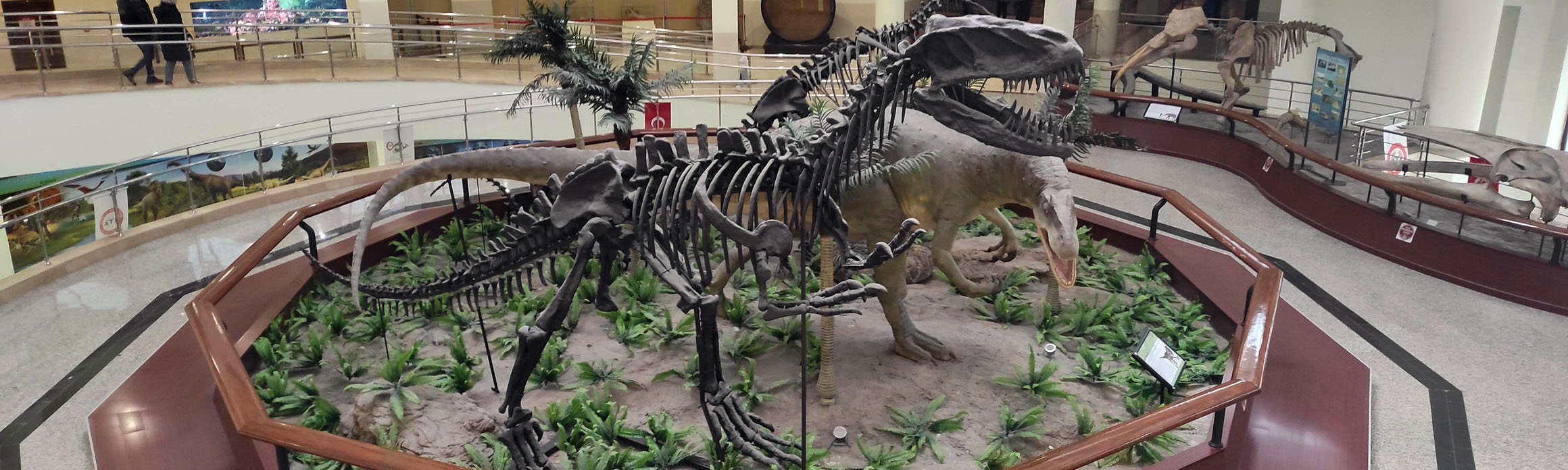 2024/01/19 – Natural History Muzeum